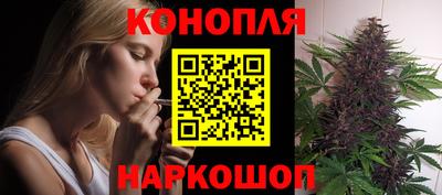 стафф Нальчик