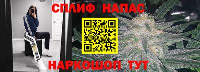 стафф Нальчик