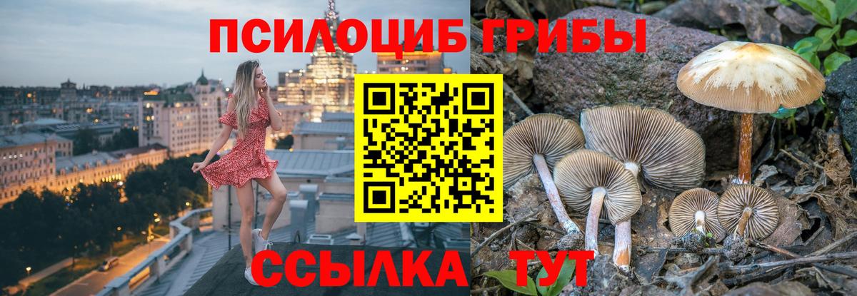 Псилоцибиновые грибы мухоморы Сорочинск
