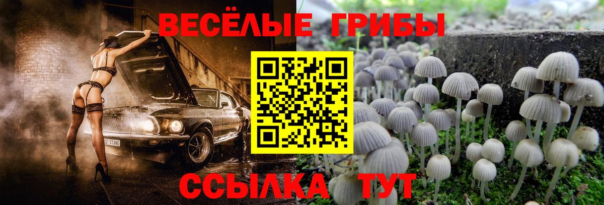 Псилоцибиновые грибы мицелий  Галлюциногенные грибы MAGIC MUSHROOMS  Сорочинск  Вход с VPN 